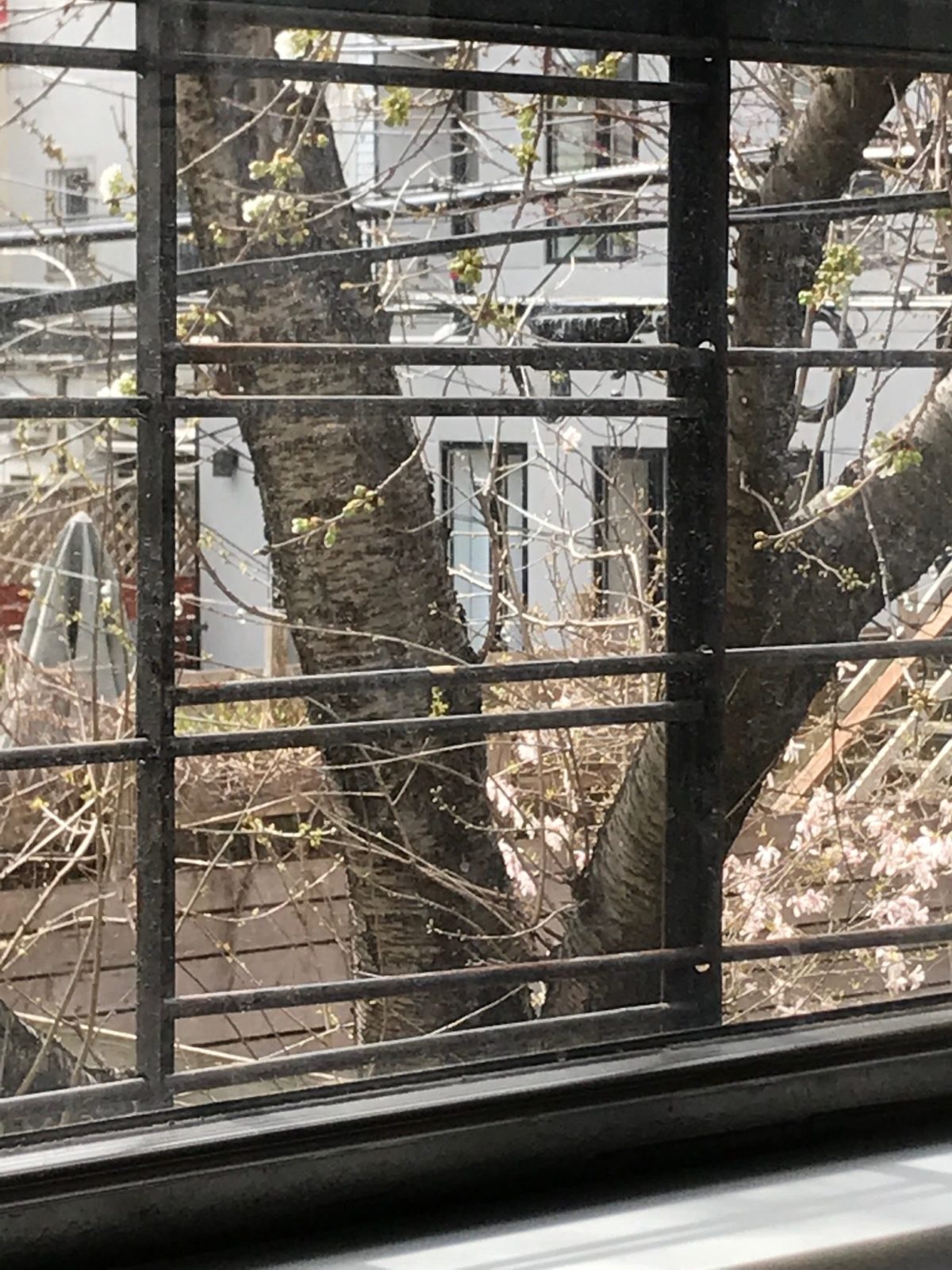 La dépression de la mère peut faire baisser le QI de son enfant